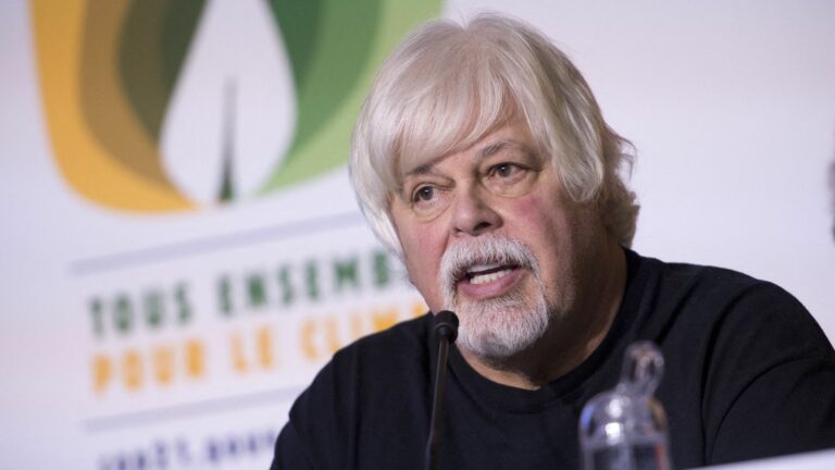 After his arrest in Greenland, Sea Shepherd founder Paul Watson is “doing well” and has “no regrets”, according to the NGO