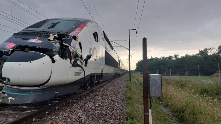 After the storms, a TGV hit a tree in Yonne, traffic is interrupted on the south-eastern line, announces the SNCF