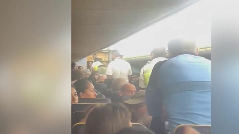 Argument on plane turns into general brawl