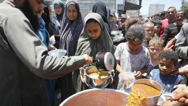 Between conflicts, fragile economy and extreme weather, world hunger is not decreasing, affecting 733 million people in 2023