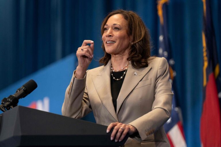 Beyond Biden, Democrats Consider Holding ‘Mini-Primary’ for Harris