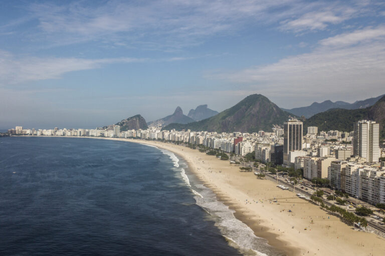 Brazil | Traces of cocaine detected in sharks