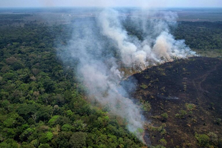 Brazil forest fires | Amazon experiences worst first half of year in 20 years