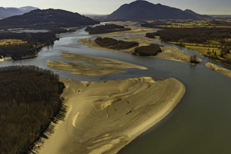 British Columbia | Environmental group buys Fraser River island to protect salmon