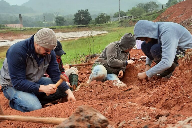 Dinosaur fossil exposed by rain in Brazil