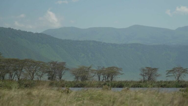 Discovering the Ngorongoro Crater in Tanzania