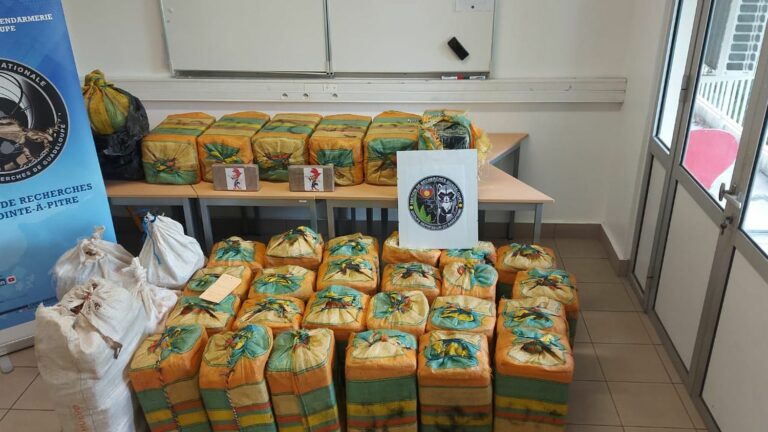 Drug seizure worth 25 million euros in Guadeloupe