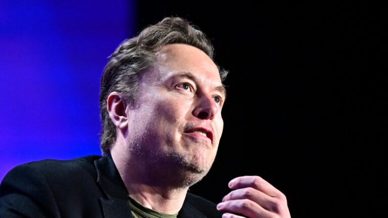 Elon Musk’s brain implant’s promise of superhuman vision is called into question by a US study