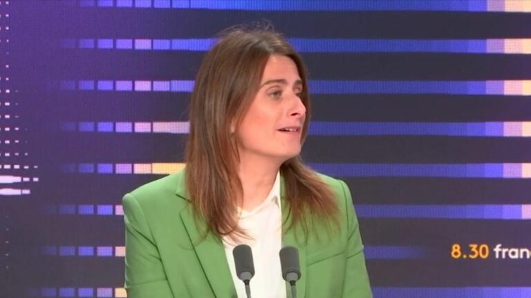 Environmentalist Marine Tondelier “finds it quite contemptuous” that Emmanuel Macron “did not mention” Lucie Castets’ name during his interview