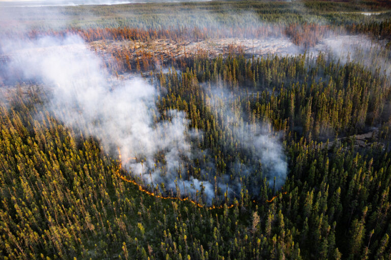 Forest fire in Labrador | Evacuation pre-alert in Fermont