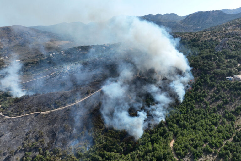 Forest fires | As Greek islands burn, Athens warns summer will be ‘dangerous’