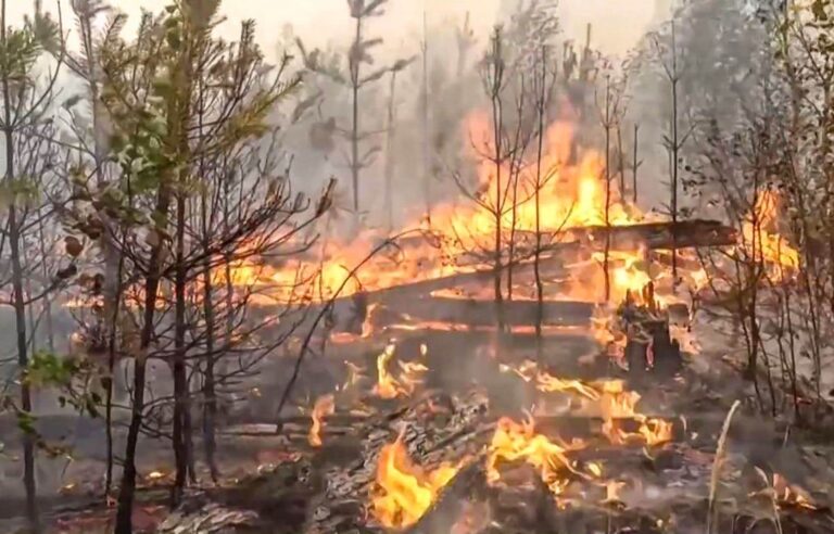 Forest fires ravage Russia