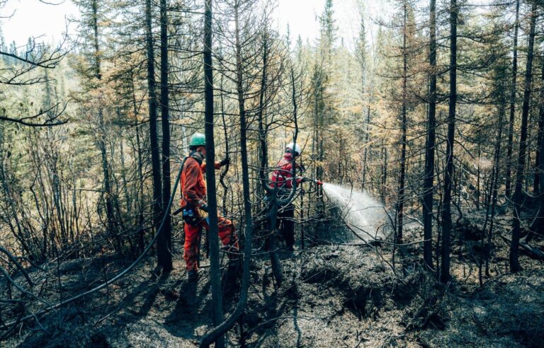 Forest fires: severity index is low to medium for Quebec