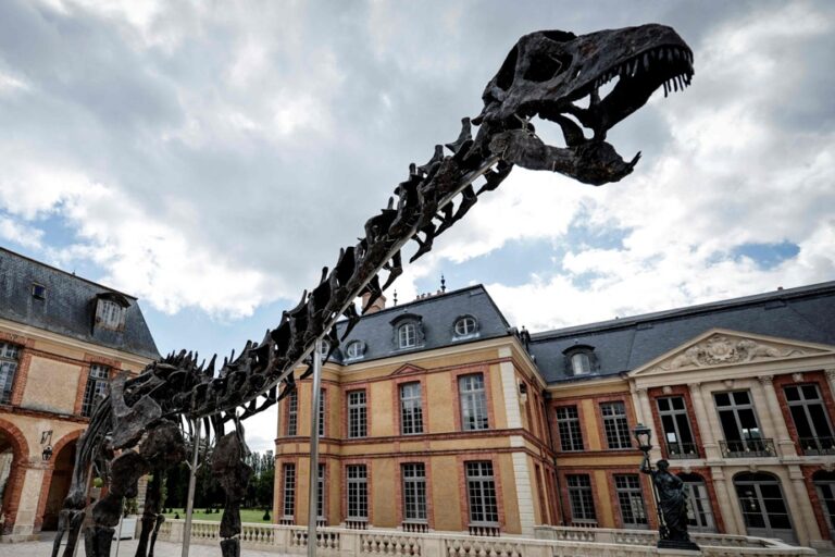 France | Largest dinosaur ever auctioned on display in castle