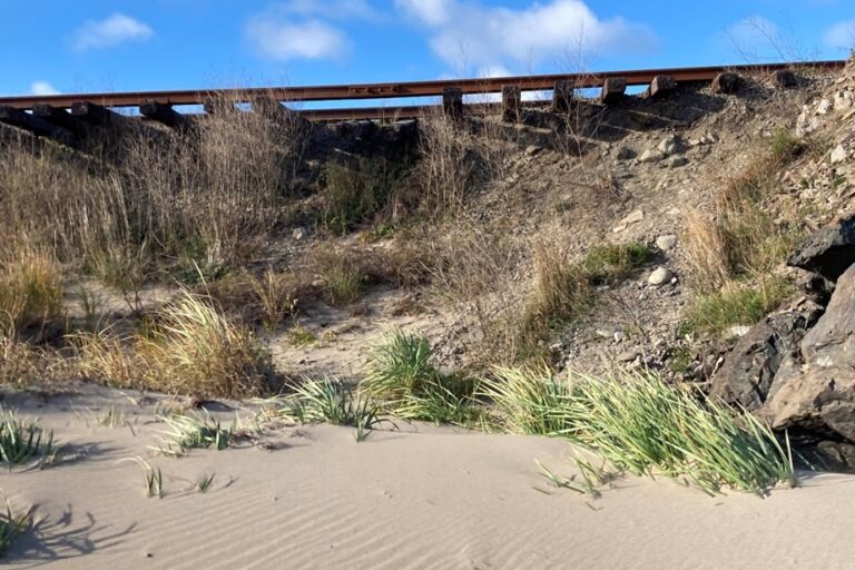 Gaspésie Railway | Protecting the rails from a fearsome sea