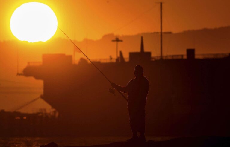 Global fish populations under threat, including those in Atlantic Canada