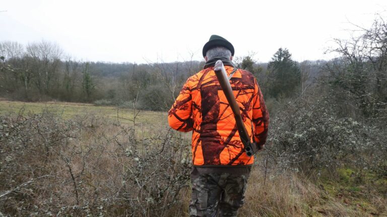 Hunting accidents are slightly up this season, but the twenty-year trend remains downward