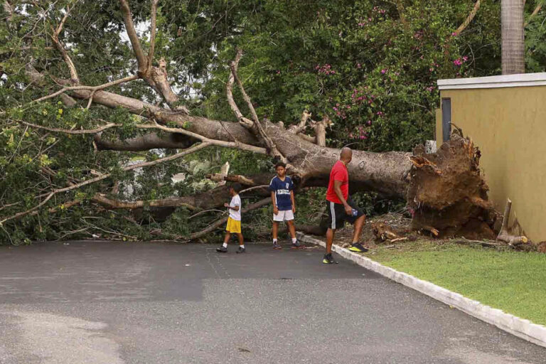 Hurricane Beryl | “There was a lot of fear, more fear than harm”