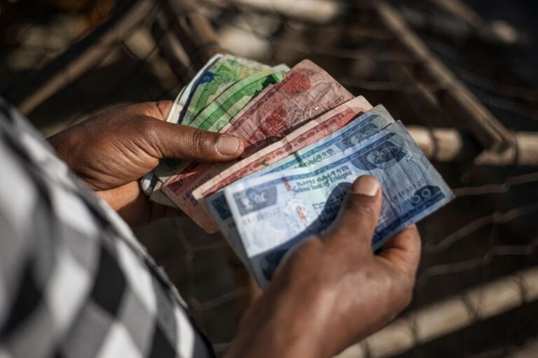 IMF Assistance Program | Ethiopia Announces Exchange Rate Liberalization