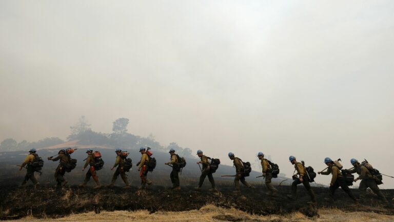 IN PICTURES. Greece, United States, Brazil… Forest fires have been raging in many regions of the world in recent weeks.