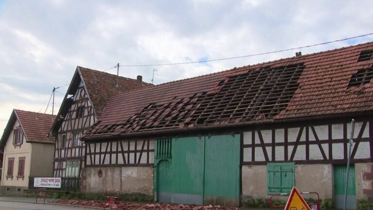 In Bas-Rhin, trees uprooted and roofs ripped open after a violent storm