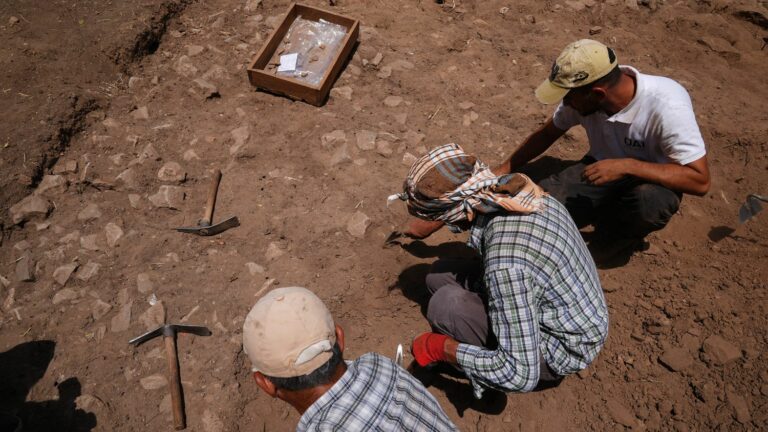 In Türkiye, the government wants to speed up archaeological excavations