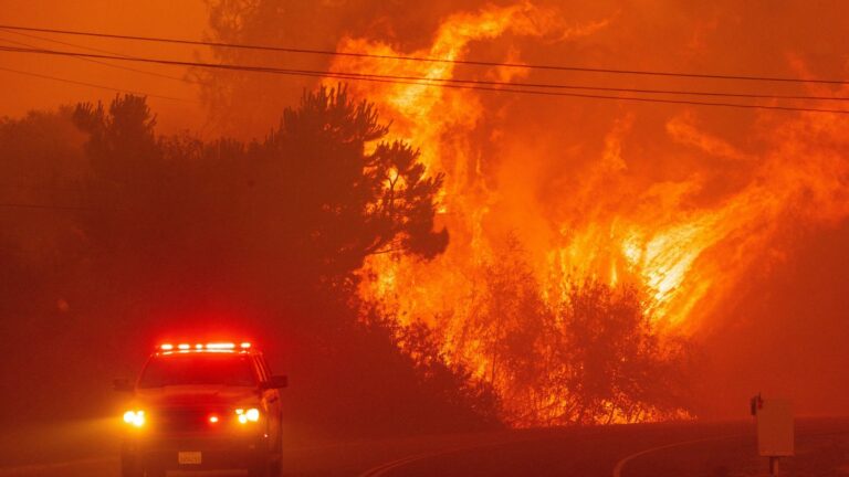 In the midst of a heat wave, fires are multiplying in the American West