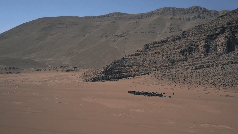 In transhumance on the high plateaus of the Moroccan Atlas