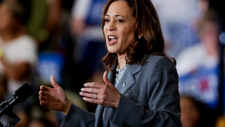 International relations expert points out risk of ‘improvisation’ of Kamala Harris candidacy