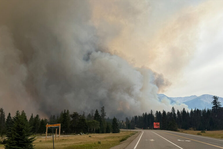 Jasper | Cool, wet weather limits spread of wildfires