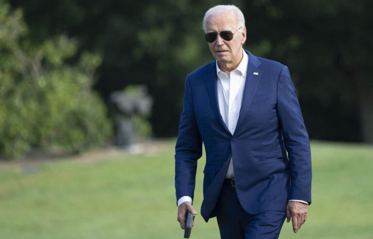 Joe Biden counts his supporters in the Democratic camp despite doubts about his energy and stamina