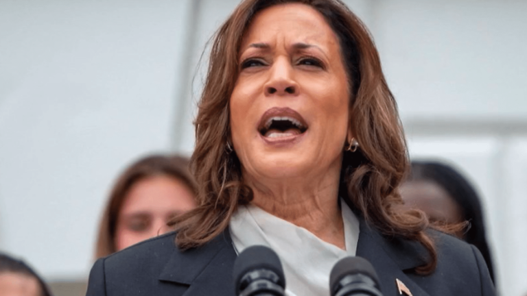 Kamala Harris already in the running for the US presidency?