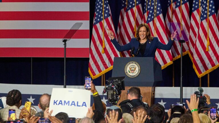 Kamala Harris dons candidate costume and galvanizes crowd in Wisconsin