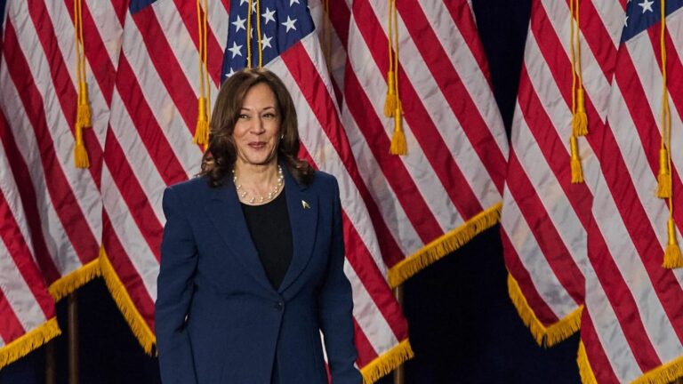 Kamala Harris garners pop culture support for US presidential bid