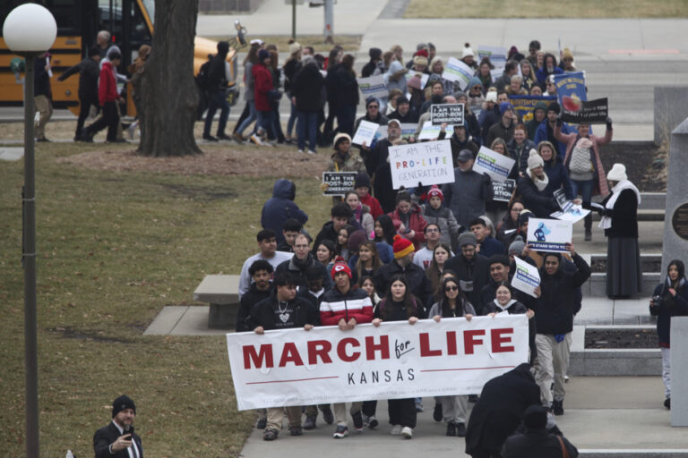 Kansas | Top court rejects two anti-abortion laws