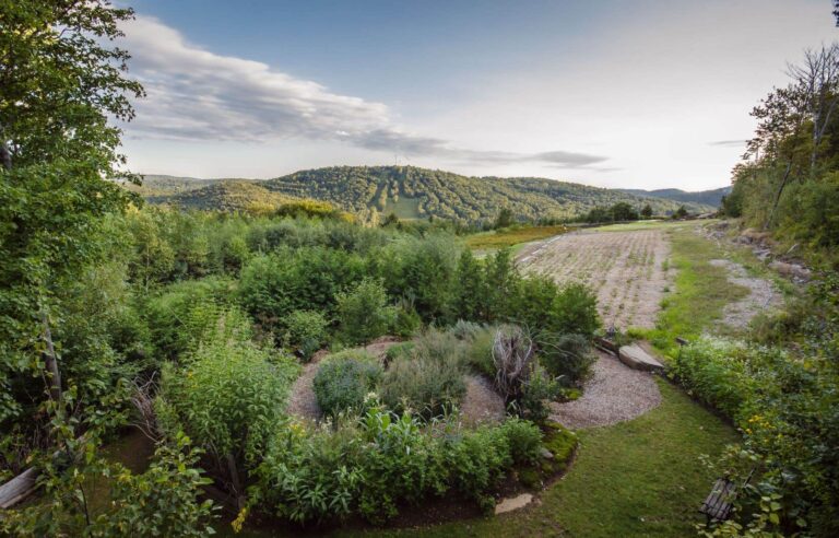 Key to the Fields: Visit to the Medicinal Garden