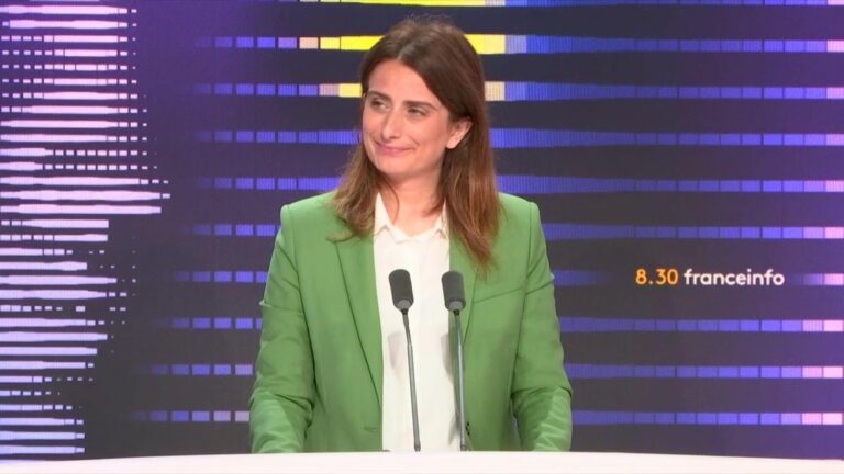 Lucie Castets appointed by the NFP for Matignon, interview with Emmanuel Macron… Marine Tondelier’s “8:30 franceinfo”