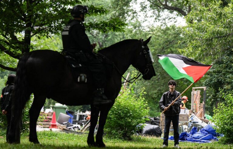 McGill University Encampment Dismantled, What Will Pro-Palestinian Protesters Do Now?