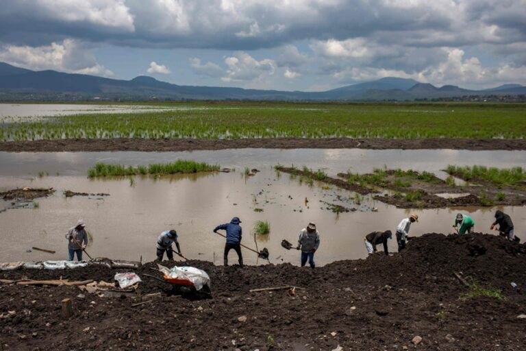 Mexico | Lake rescue operation in the land of dead fish schools