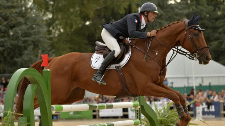 “My horse’s nickname will now be Pegasus, he could fly,” smiles Olympic vice-champion Karim Laghouag