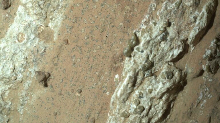 NASA rover collects rock from Mars that may contain evidence of microbial life