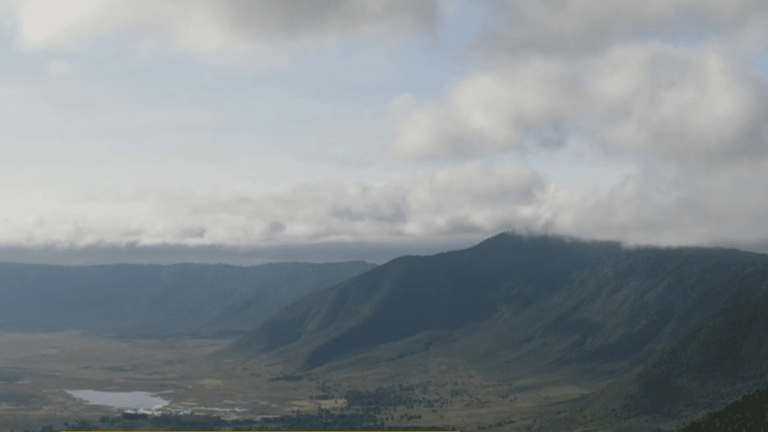 Ngorongoro Crater Wildlife