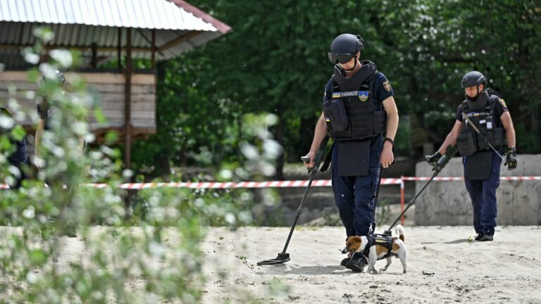 On the border with Belarus, mine clearers are combing the area “centimeter by centimeter”