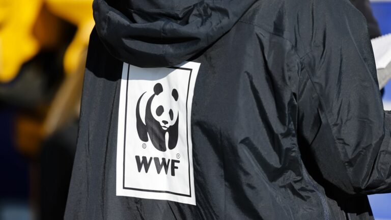 On the occasion of the Paris 2024 Olympic Games, the WWF reminds us of “the records not to be broken”