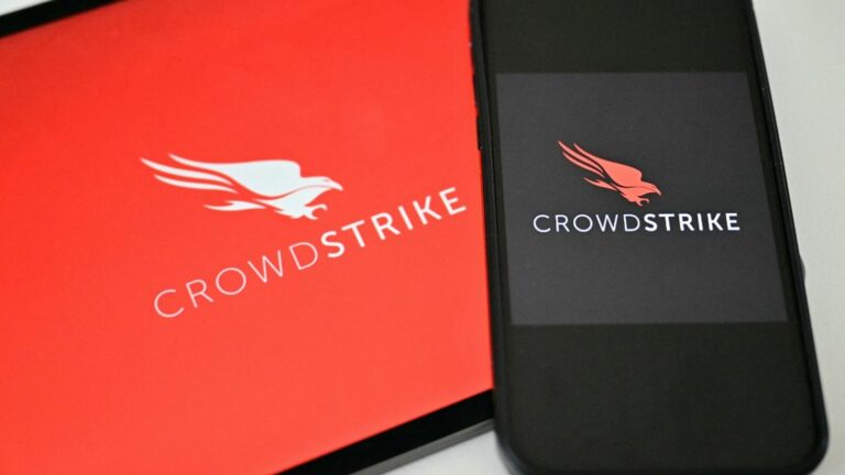 “One might wonder what the validation process was at CrowdStrike,” asks a cybersecurity expert.