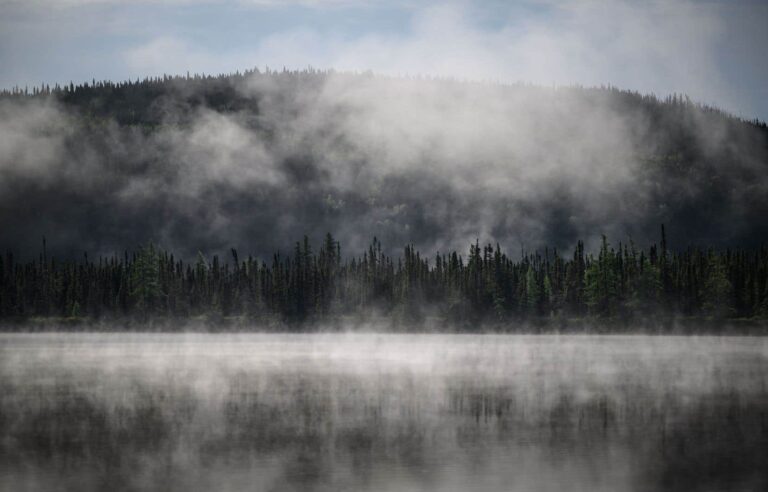 Open-air fires in the forest banned on the Côte-Nord and in Gaspésie