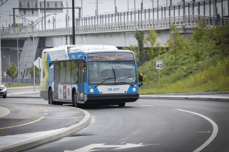 Pedestrian hit in March | STM called upon to “review the working hours” of its drivers