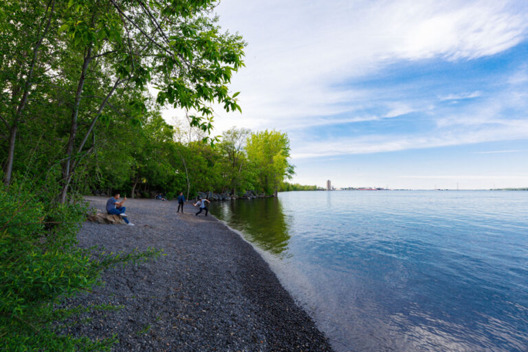 Promenade-Bellerive Park | No swimming before the end of the decade