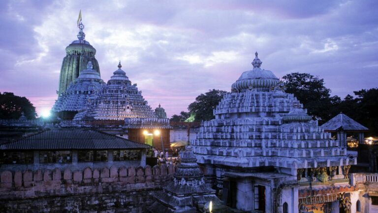 REPORTAGE. In India, an archaeological mission in search of the mystery of the treasure of the Jagannath temple