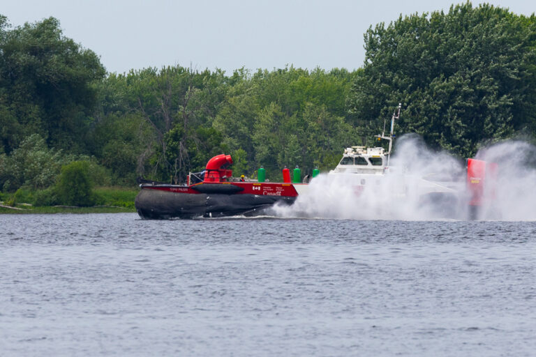 River Life | The Ottawa River Bear